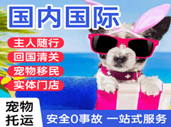 西庆机场空运国际宠物托运 【国